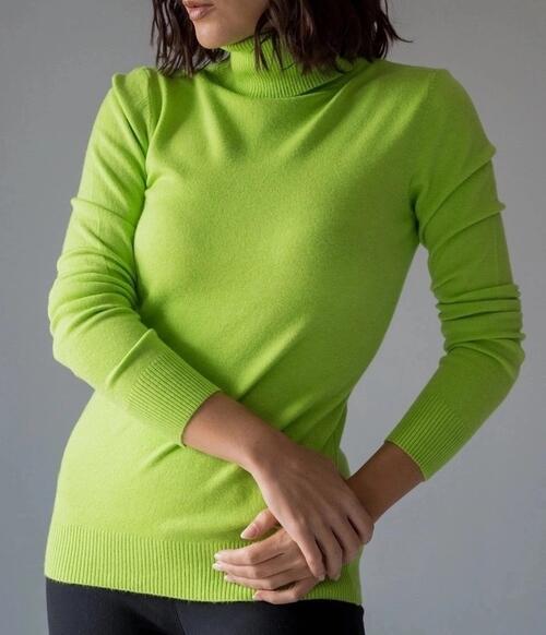 Водолазка, фото 1