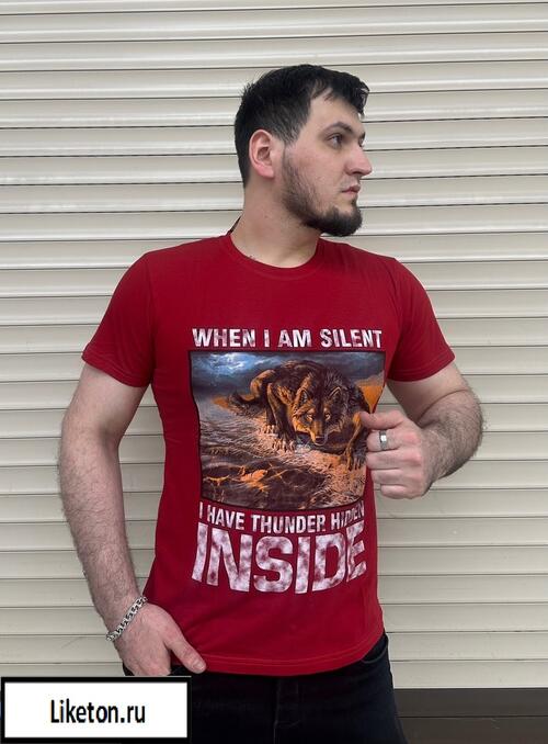 Футболка мужская, фото 1