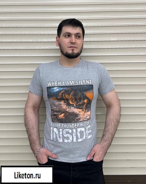 Футболка мужская, фото 1